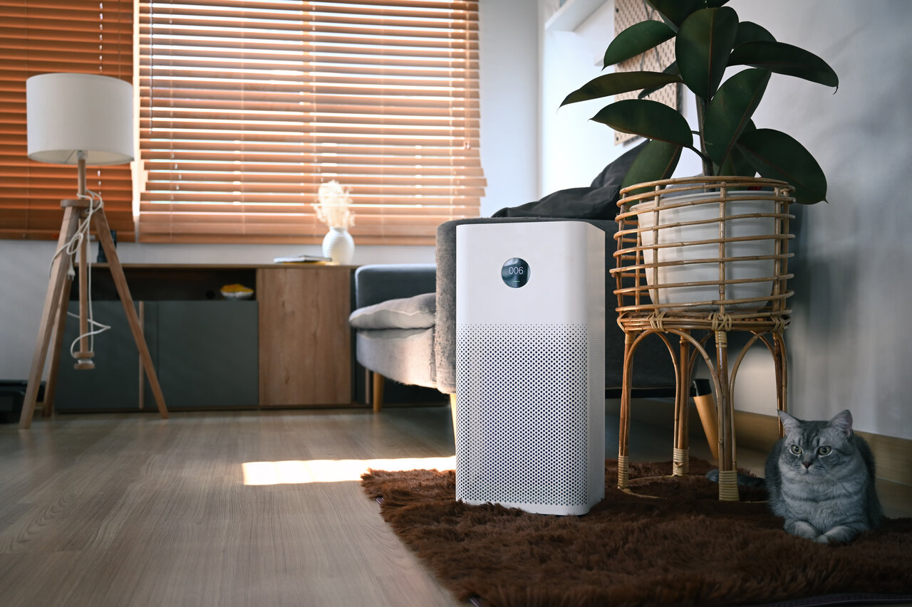 dehumidifier