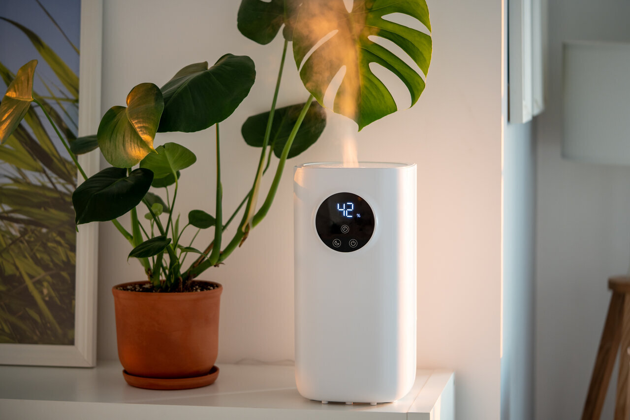 dehumidifier